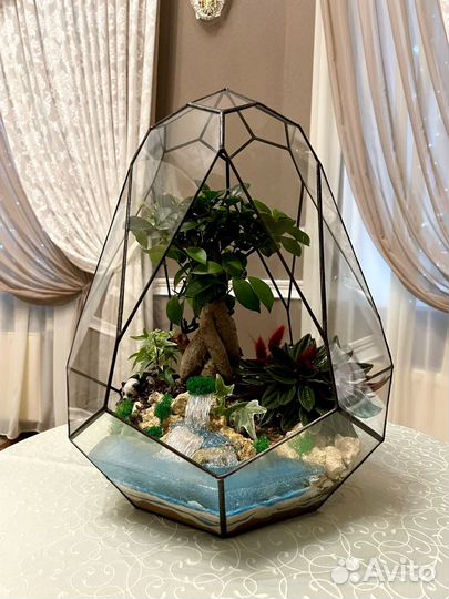 Флорариумы