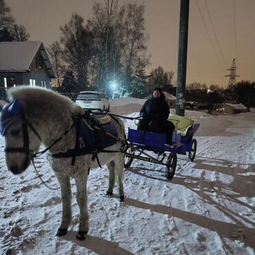 Экипаж для лошади