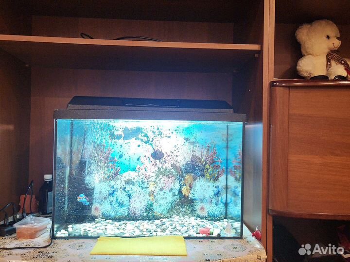 Аквариум 70 литров