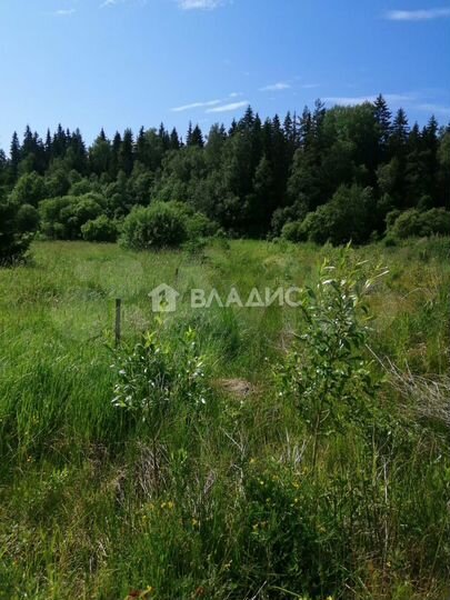 Участок 19,1 сот. (личное подсобное хозяйство (лпх))