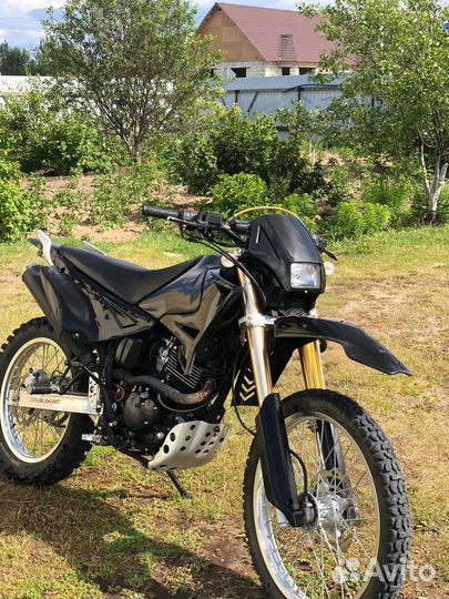 Baltmotors 250