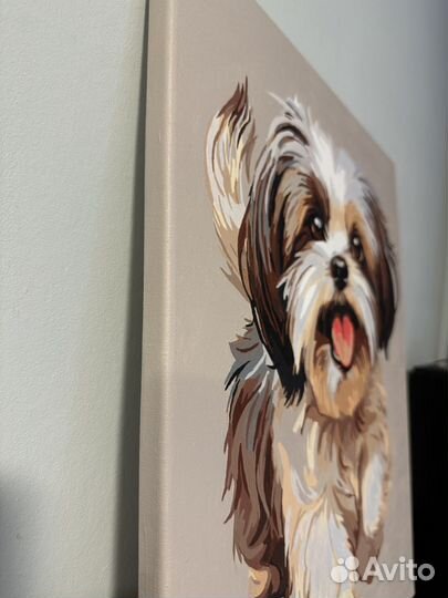 Картина Собака породы Ши-тцу