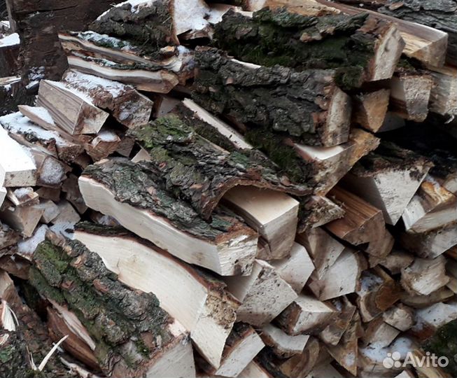 Дрова береза