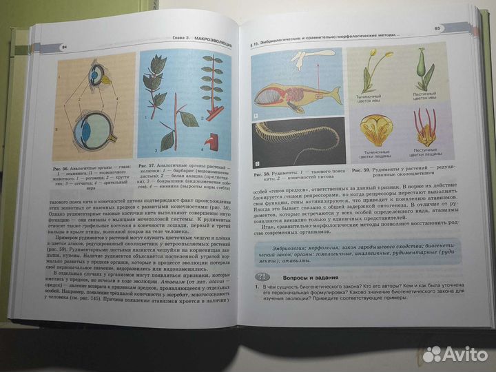 Учебники