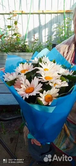 Букеты из ромашек