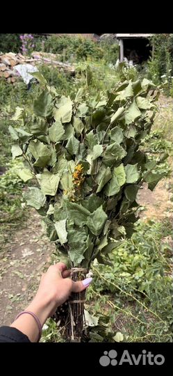 Веники для бани деревенские