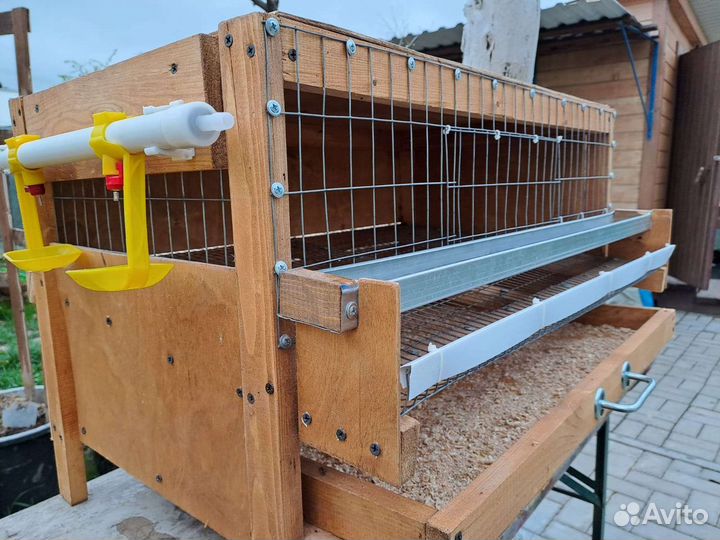 Клетка для перепелов