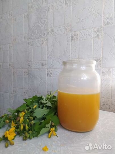 Квас на чистотеле (фермент чистотела)