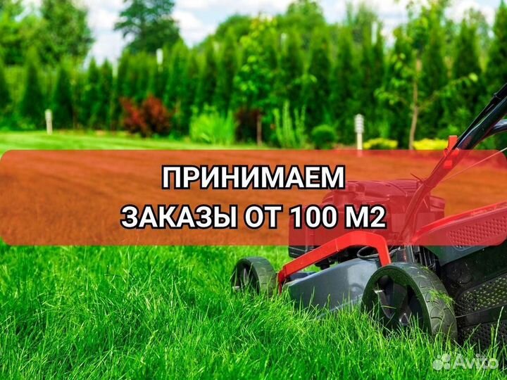 Продажа рулонного газона