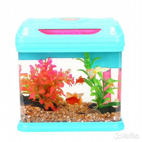 Мини-аквариум, светильник светодиодный + фильтр Си