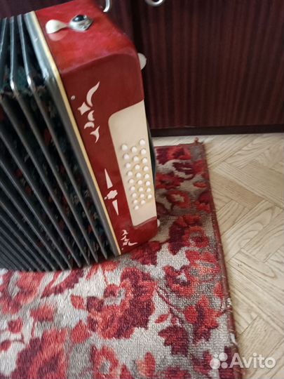 Гармонь беларусь