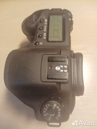 Canon EOS 10D и Canon EOS kiss Digital N