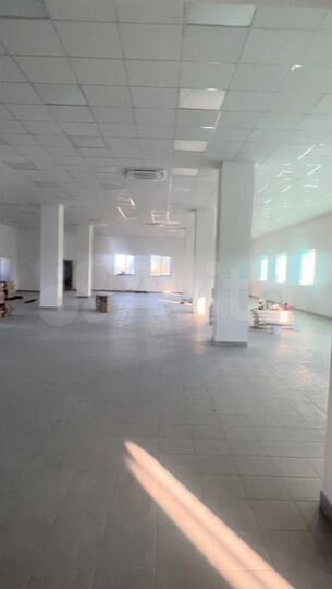 Торговая площадь, 830 м²