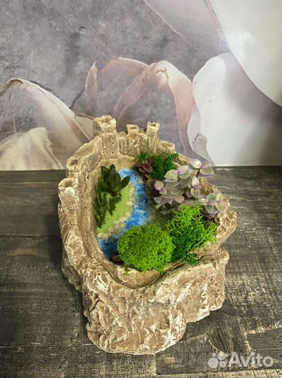 Флорариум суккуленты,живые цветы