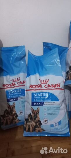 Продаю корм для собак премиум класса royal canine