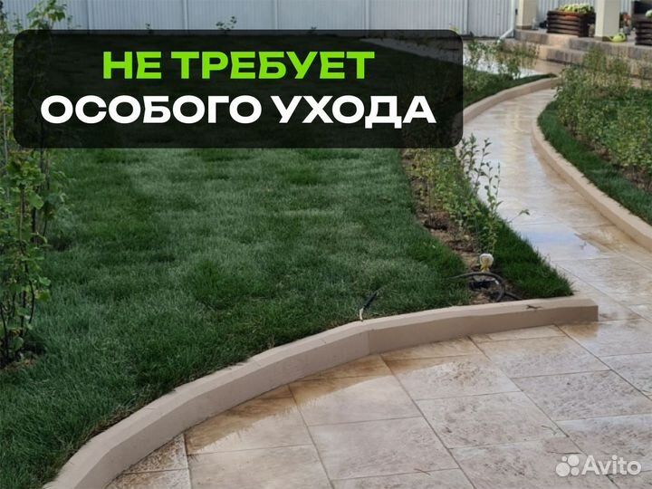 Рулонный газон Универсальный. От производителя