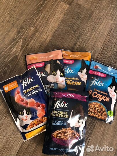 Влажный корм для кошек