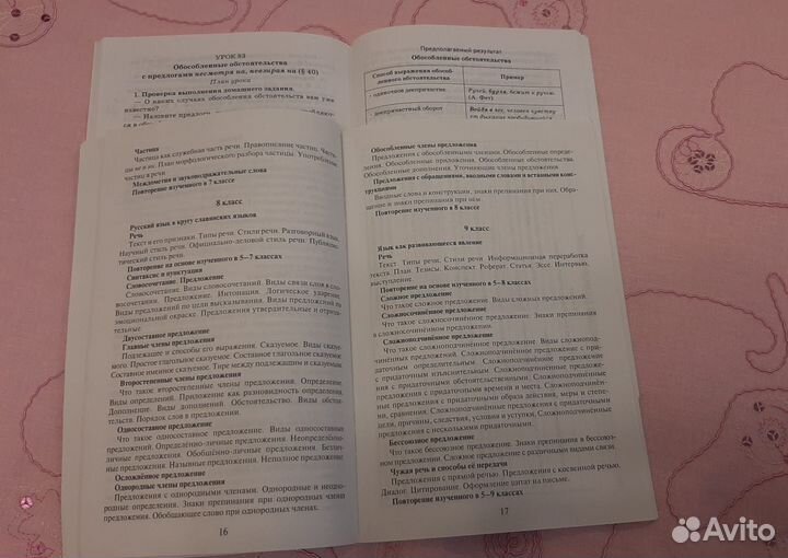 Методические пособия Е.А. Быстровой русский язык