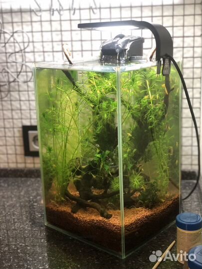 Аквариум 15 литров размером 20-22-35 см