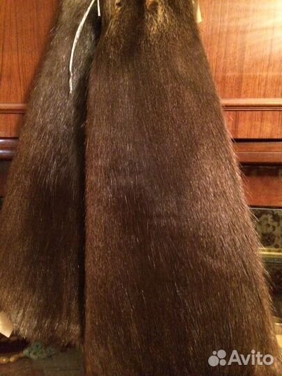 Шкуры нутрии