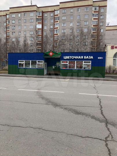 Торговая площадь, 45 м²
