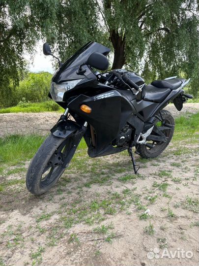 Motoland 250