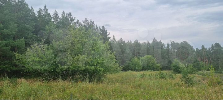 Участок 4 га (ИЖС)