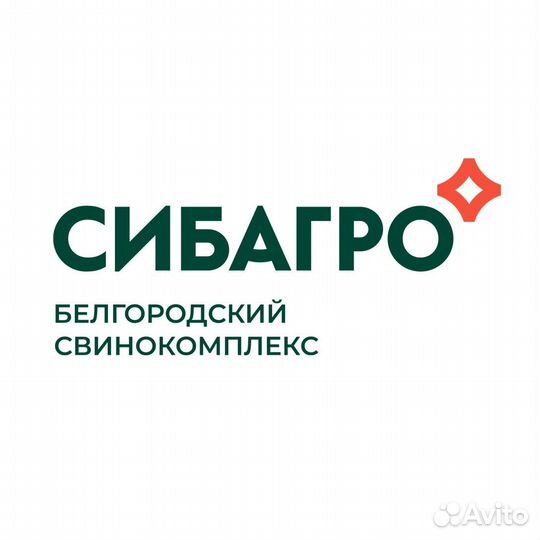 Ветеринарный врач