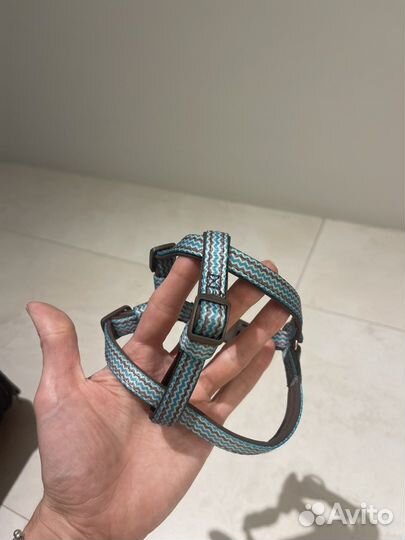 Шлейка XS Doog для мелких пород