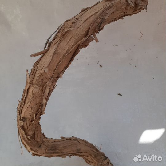 Коряга виноградная лоза в террариум