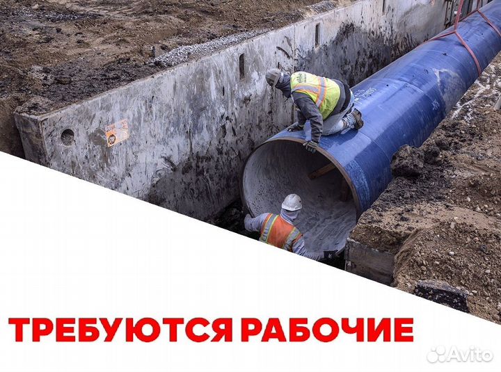 Требуются разнорабочие