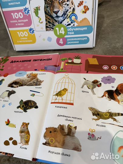 Книга нажималка животные