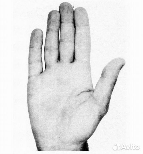 Хиромант. Гадание по рукам, обучение