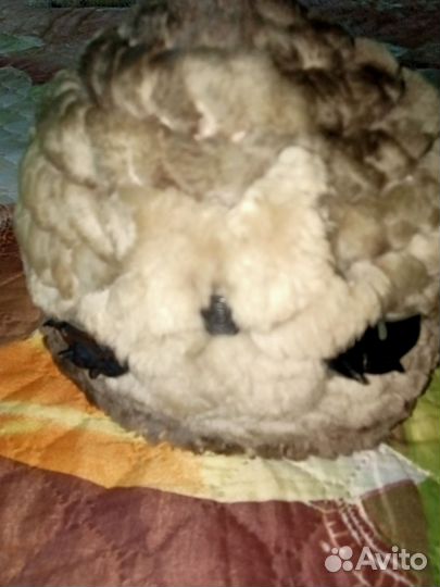 Шапка норковая женская