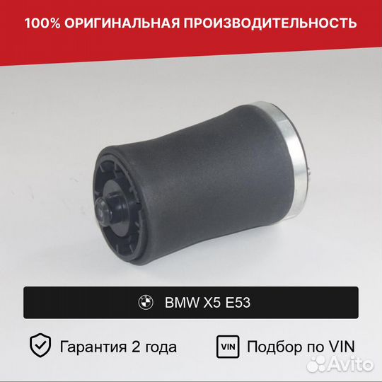 Пневмобаллон для BMW X5 E53 (1999—2003) Задний