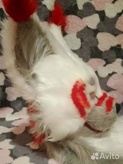 Фурсьют кота