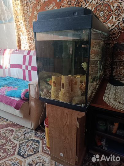 Аквариум с тумбой 200 л. б/у звоните договоримся