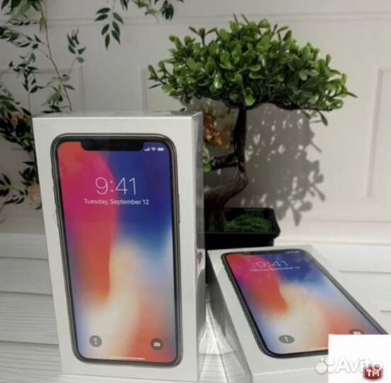 iPhone X, 256 ГБ