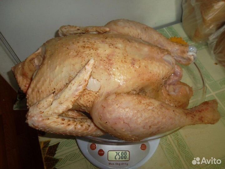 Мясо домашнего бройлера