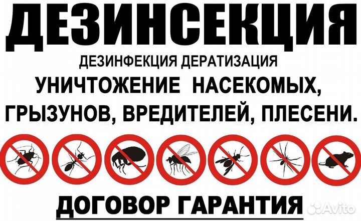 Дезинсекция