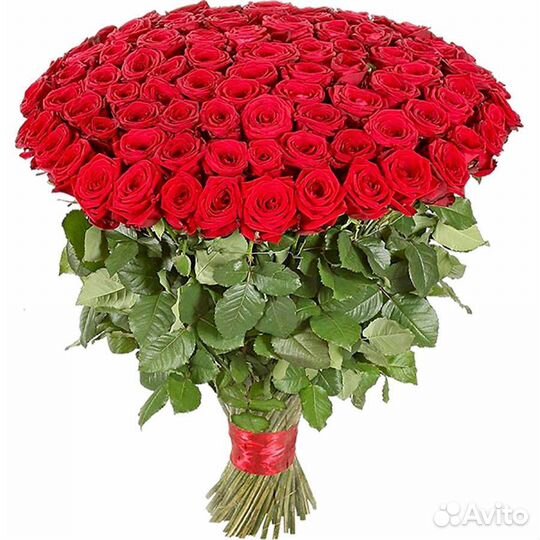 Розы красные