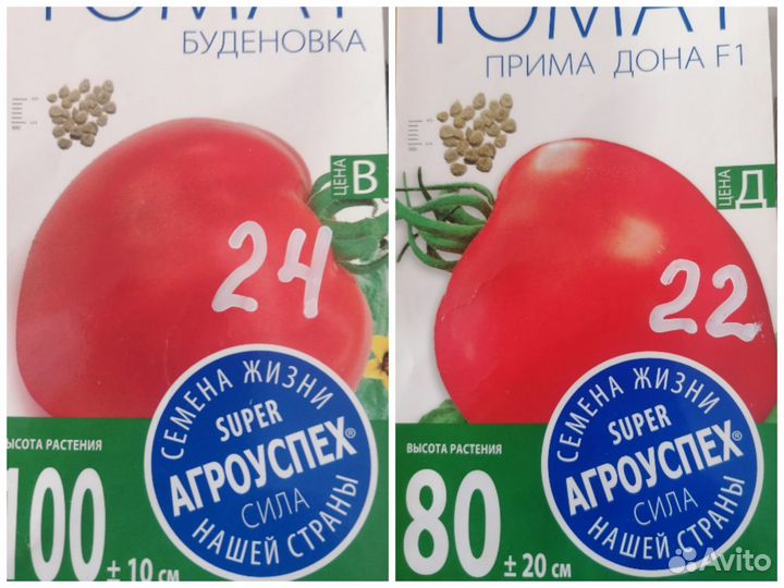 Рассада помидор