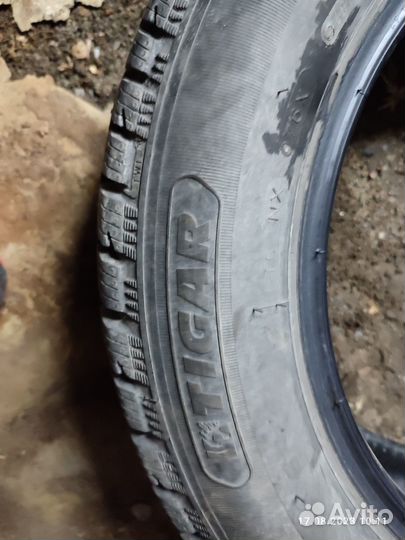 Tigar Ice 185/65 R15