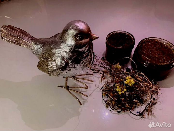 Мед для полового влечения