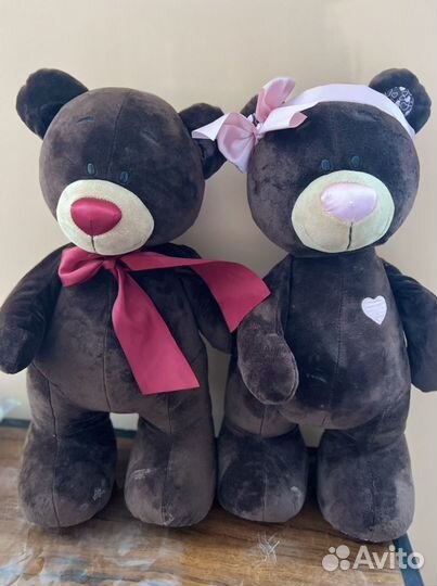 Медведи choko milk новые