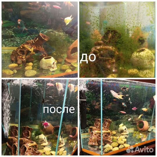 Чистка аквариума