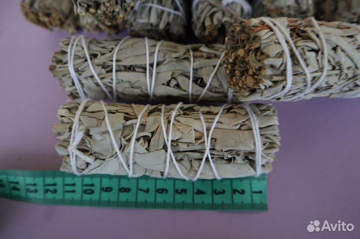 Шалфей Калифорнийский от 20шт опт для Ozone