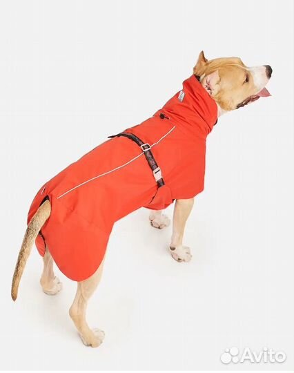 Попона куртка для крупных собак новая