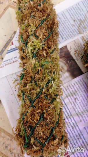 Опора для растений, тотем для растений