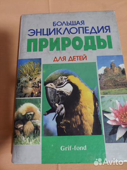 Энциклопедия